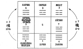 ����� - ������������ ����������� ������������ ��������� -�������