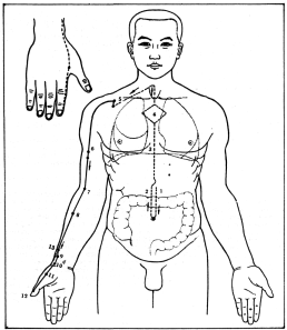 ����� - ������������ ����������� ������������ ��������� -�������