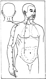 ����� - ������������ ����������� ������������ ��������� -�������