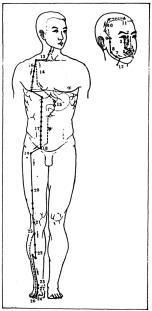 ����� - ������������ ����������� ������������ ��������� -�������