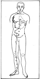 ����� - ������������ ����������� ������������ ��������� -�������