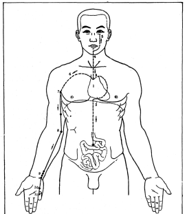 ����� - ������������ ����������� ������������ ��������� -�������