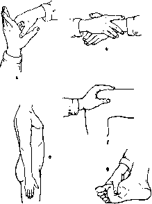 ����� �����������
