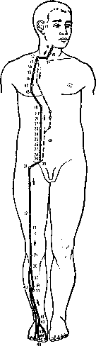 �������� ������