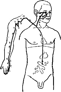 �������� ���������