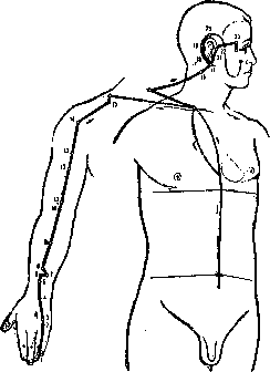 �������� ���� ������ ��������

