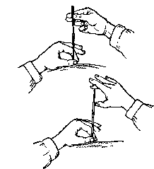 ����������