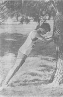 ����� - ���� 42 -�������