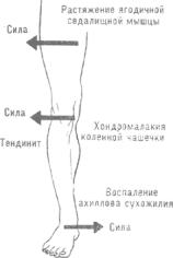 ����� - ���� 42 -�������