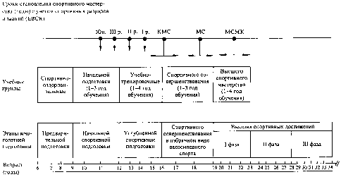 ДИНАМИКА НАГРУЗОК В ПРОЦЕССЕ МНОГОЛЕТНЕЙ ПОДГОТОВКИ