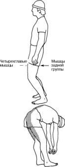 �������� - �������� ��� �������