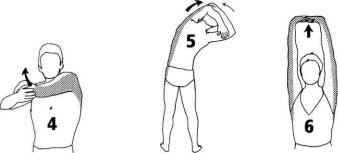 �������� - �������� ��� �������