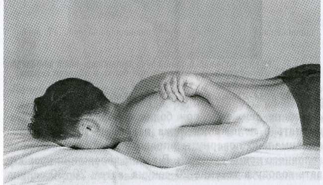 ������ - ���������� ��� ���������� �������