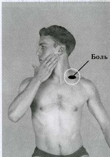 ������ - ���������� ��� ���������� �������