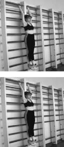 ������ - ��������� ������ - ������������ � ����������� ���������� ��� ������