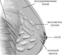 ������ - ��������� ������ - ������������ � ����������� ���������� ��� ������