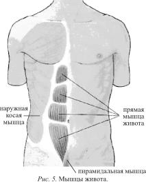 ������ - ��������� ������ - ������������ � ����������� ���������� ��� ������