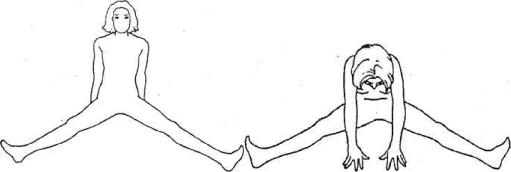 �������� - ������������ ������ �� 15 ����� � ����