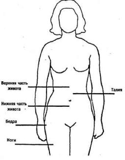 �������� - ������������ ������ �� 15 ����� � ����