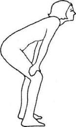 �������� - ������������ ������ �� 15 ����� � ����