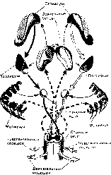 ��������� - � �������� � �� ��������