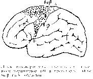 ��������� - � �������� � �� ��������