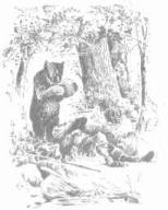 ��������� - � �������� � �� ��������