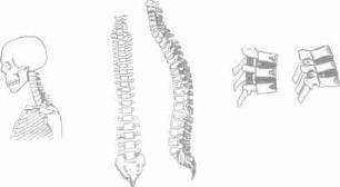 ��������� - � �������� � �� ��������