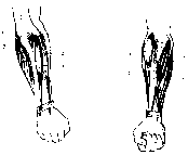 ��������� - � �������� � �� ��������