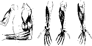 ��������� - � �������� � �� ��������