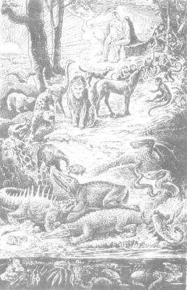 ��������� - � �������� � �� ��������