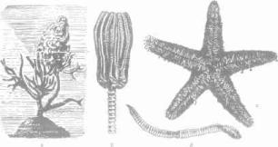 ��������� - � �������� � �� ��������