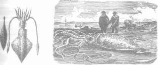 ��������� - � �������� � �� ��������