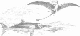 ��������� - � �������� � �� ��������