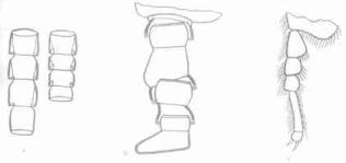 ��������� - � �������� � �� ��������