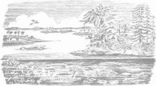 ��������� - � �������� � �� ��������