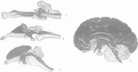 ��������� - � �������� � �� ��������