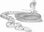 ��������� - � �������� � �� ��������