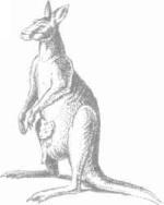 ��������� - � �������� � �� ��������