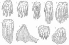 ��������� - � �������� � �� ��������