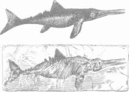 ��������� - � �������� � �� ��������