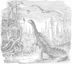 ��������� - � �������� � �� ��������