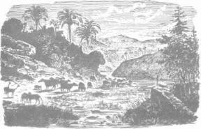 ��������� - � �������� � �� ��������