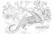 ��������� - � �������� � �� ��������