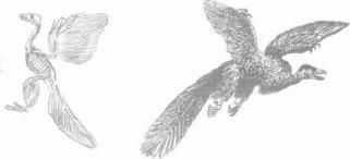 ��������� - � �������� � �� ��������