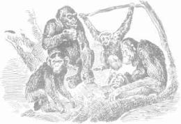 ��������� - � �������� � �� ��������