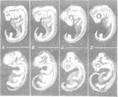 ��������� - � �������� � �� ��������