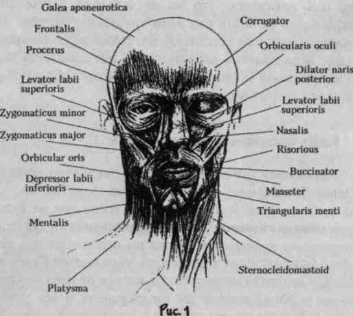 Луба - Омолаживающая Гимнастика Лица