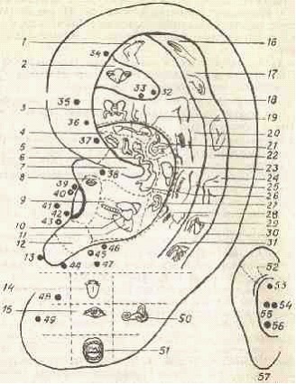 �������� - ����� �������� � ���������