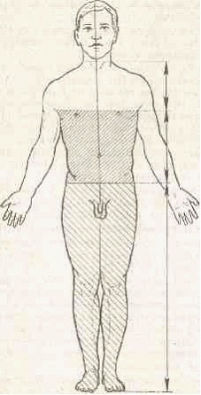 �������� - ����� �������� � ���������